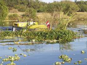 Remoção de Plantas Aquáticas