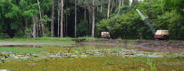 Dragagem do lago da Feena